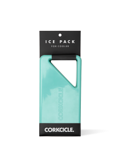 Ice Pack (Cooler)