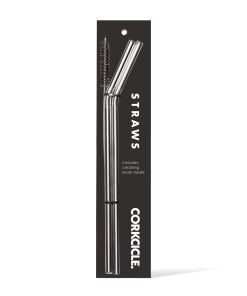 Tumbler Straw 2-Pack